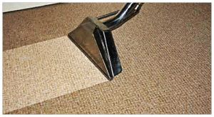 carpet cleaning